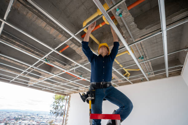 Best Leak Detection Services  in Atkins, AR